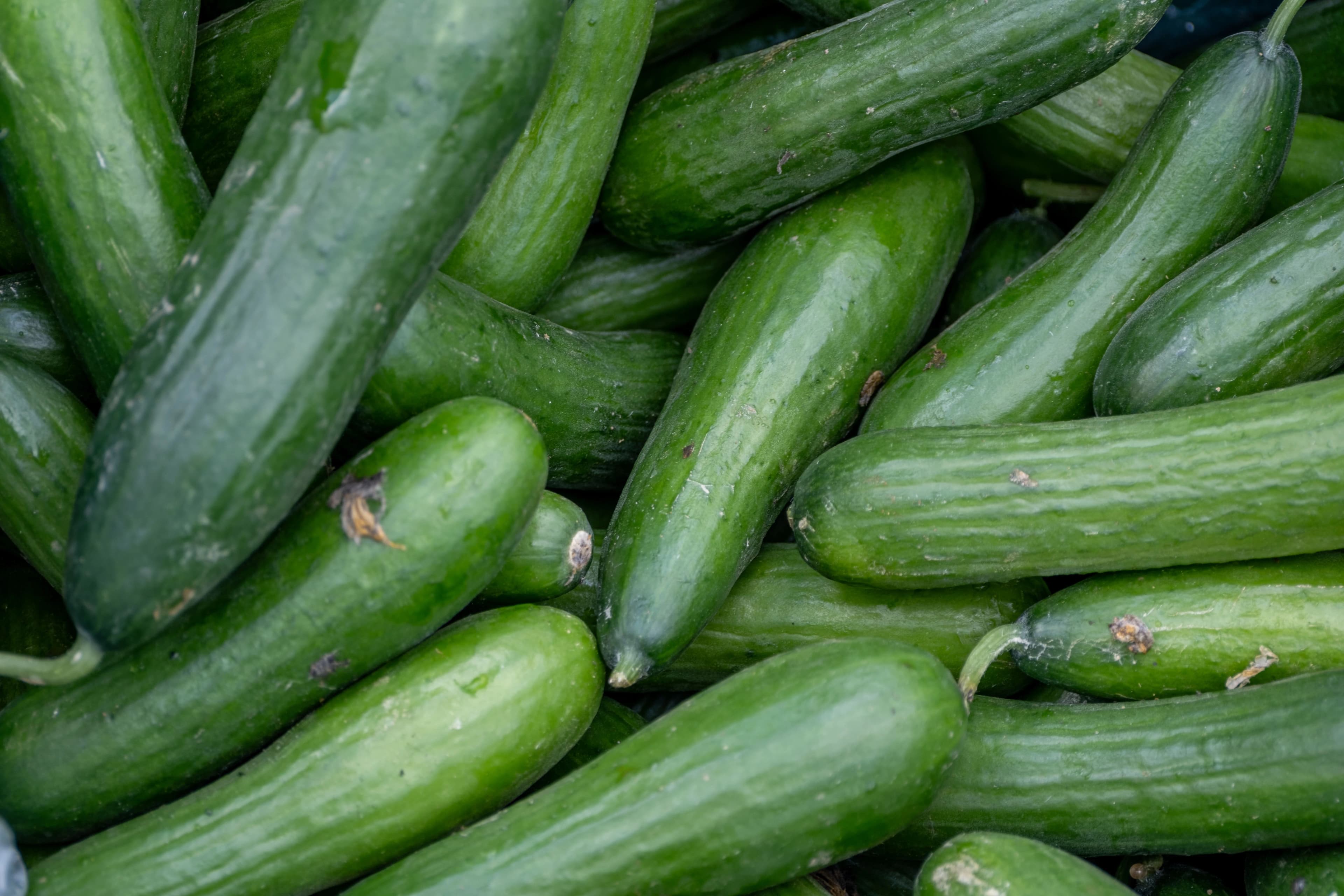 Agurker
